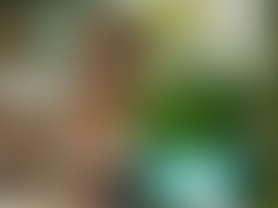 free-blurred-web-backgrounds-08