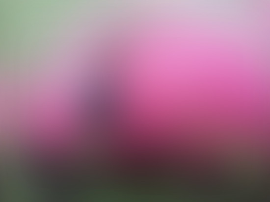 free-blurred-web-backgrounds-06